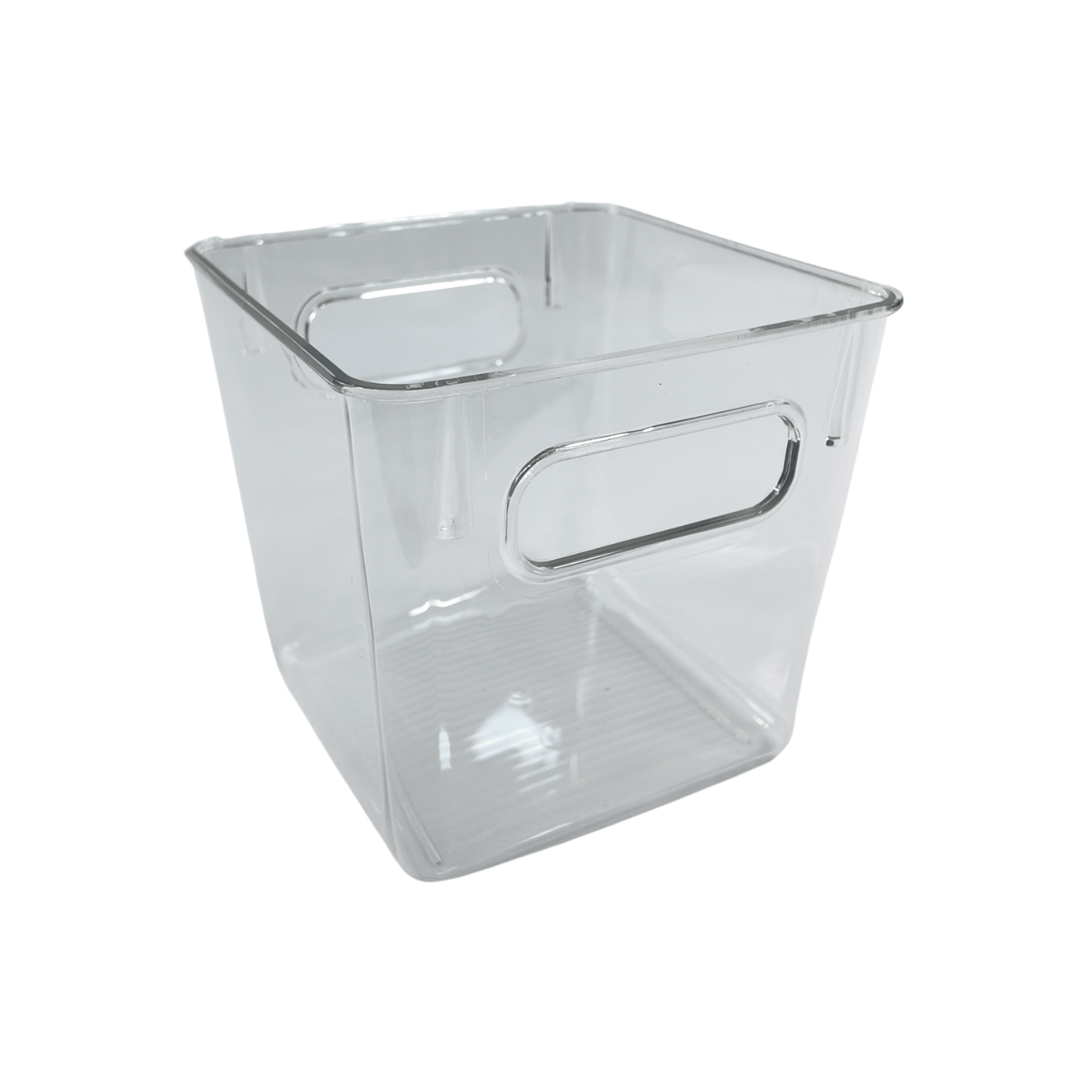 Clear Multi-Use Storage Tub With Lip – Medium